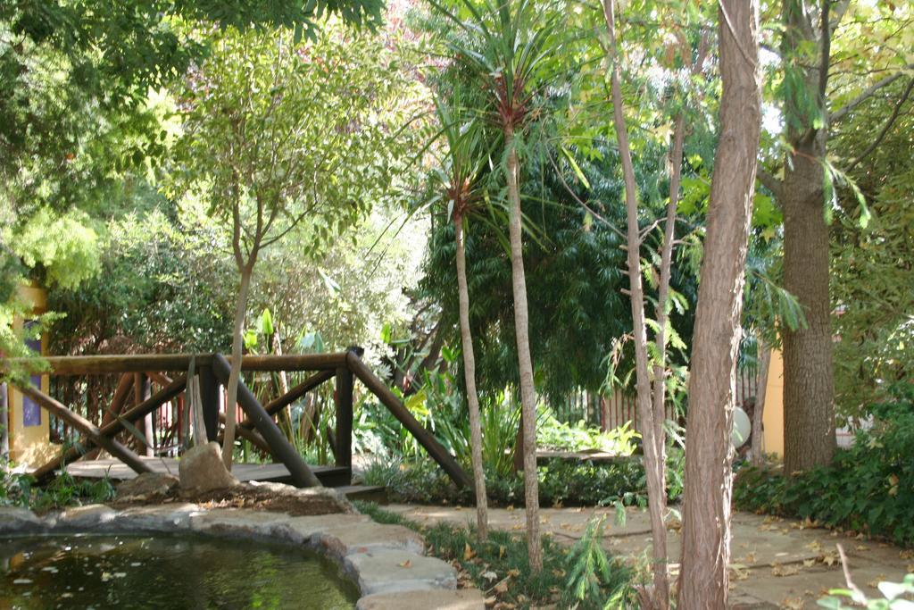 Jedidja Bed And Breakfast Bloemfontein Exteriör bild