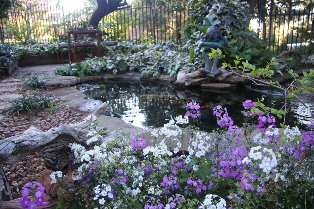 Jedidja Bed And Breakfast Bloemfontein Exteriör bild