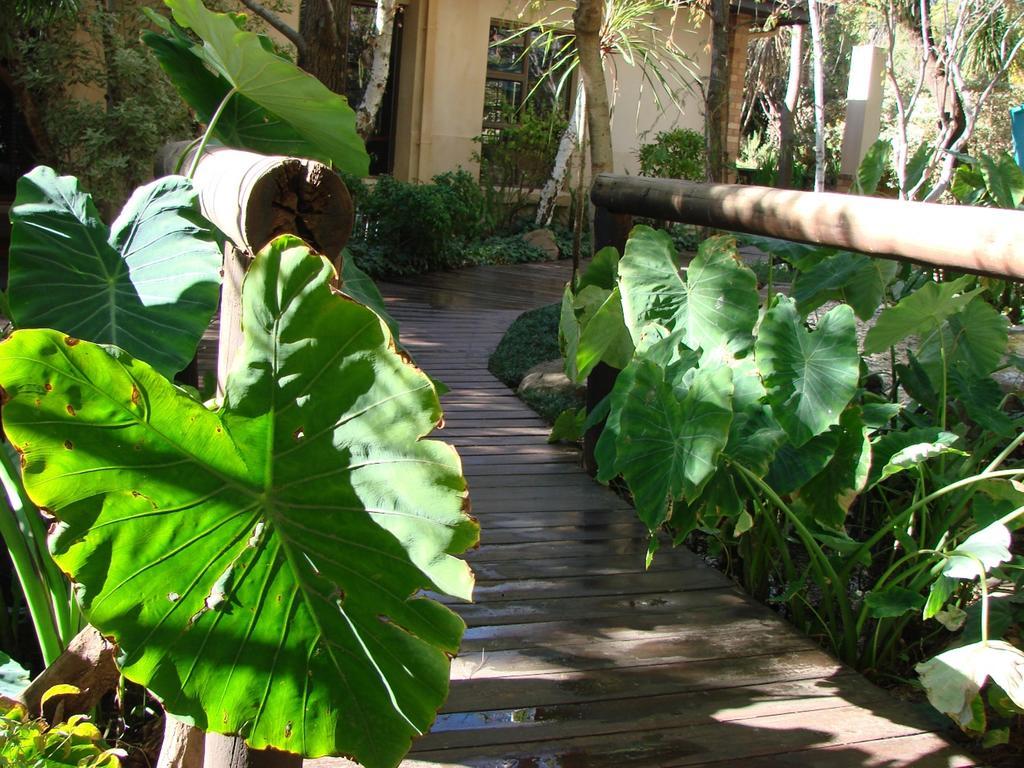 Jedidja Bed And Breakfast Bloemfontein Exteriör bild